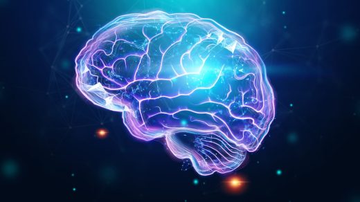 Адам миы туралы 30 қызықты дерек – Ғаламдағы ең күрделі биологиялық компьютер