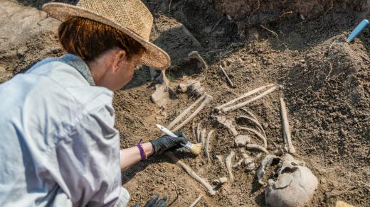 20 интересных фактов об археологии - науке, изучающей мусор прошлого, чтобы понять будущее