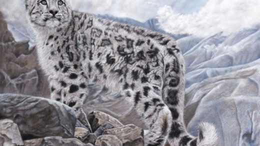 Барыс туралы 18 қызықты дерек – тау елесі және Тәуелсіз Қазақстанның рәмізі