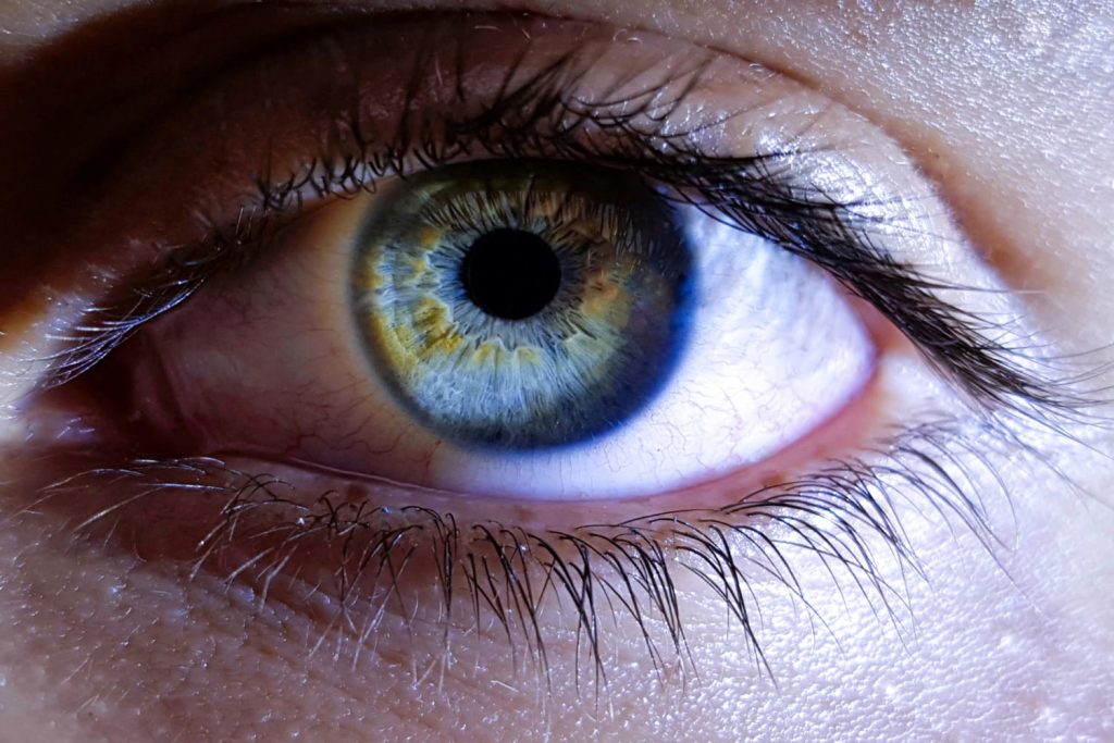 25 интересных фактов о глазах, которые различают 10 миллионов оттенков - OnlyFacts KZ 1