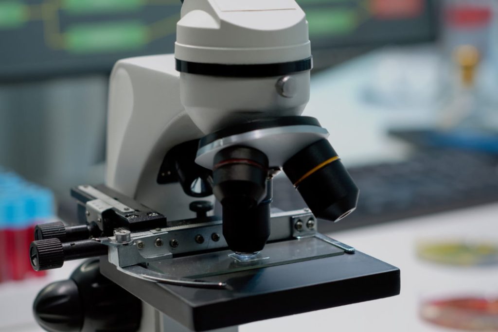 Микроскоп туралы 20 қызықты дерек – иненің ұшында жаңа әлемдер өмір сүретін көзге көрінбейтін әлемге терезе - OnlyFacts KZ 1