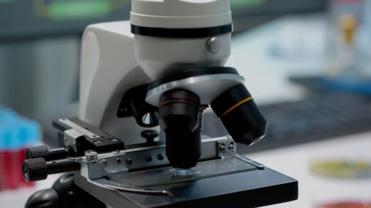 20 интересных фактов о микроскопе - окне в невидимый мир, где на кончике иглы живут настоящие новые миры