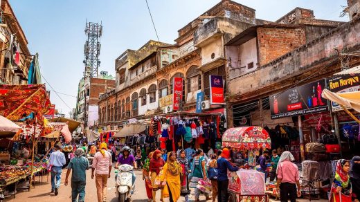 30 интересных фактов об Индии – стране красок, специй и священных коров