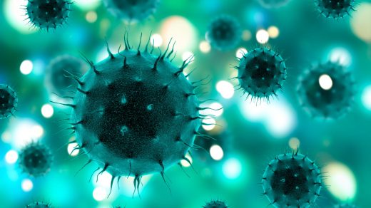 20 интересных фактов о вирусах - странных агентах, которые не являются ни живыми, ни мёртвыми