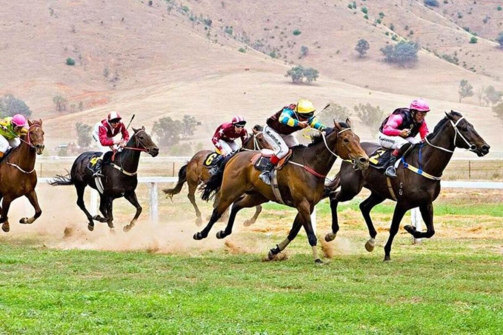 15 интересных фактов о байге - скачках по степи, где важна не только скорость, но и выносливость - OnlyFacts KZ 1