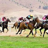 Бәйге туралы 15 қызықты дерек – тек жылдамдық қана емес, төзімділік те маңызды рөл атқаратын даладағы жарыс