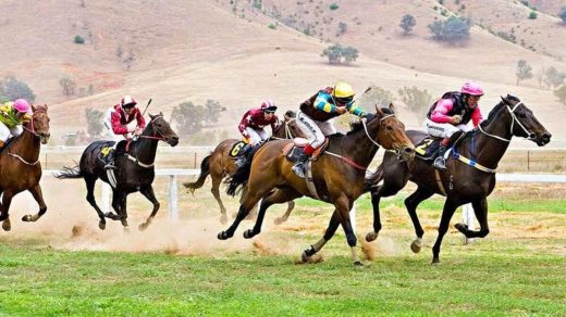 15 интересных фактов о байге - скачках по степи, где важна не только скорость, но и выносливость