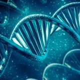 ДНҚ туралы 20 қызықты дерек – ұзындығы Күнге дейін жетіп, қайта орала алатын молекула