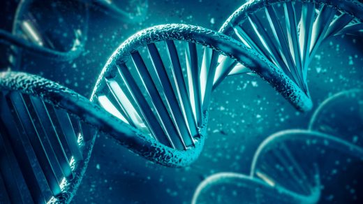 20 интересных фактов о ДНК - молекуле, длина которой может растянуться до Солнца и обратно