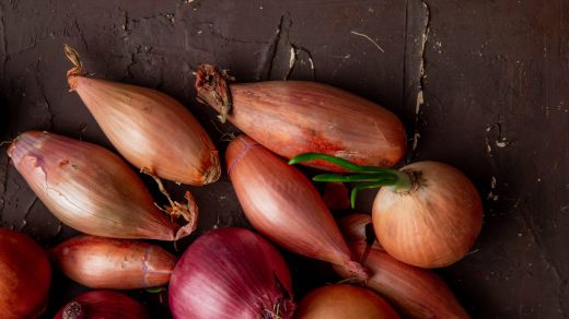 Пияз туралы 15 қызықты дерек – тіпті аспаздарды жылататын газ бөлетін көкөніс