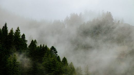 Тұман туралы 25 қызықты дерек – жерге түсуді ұйғарған бұлт