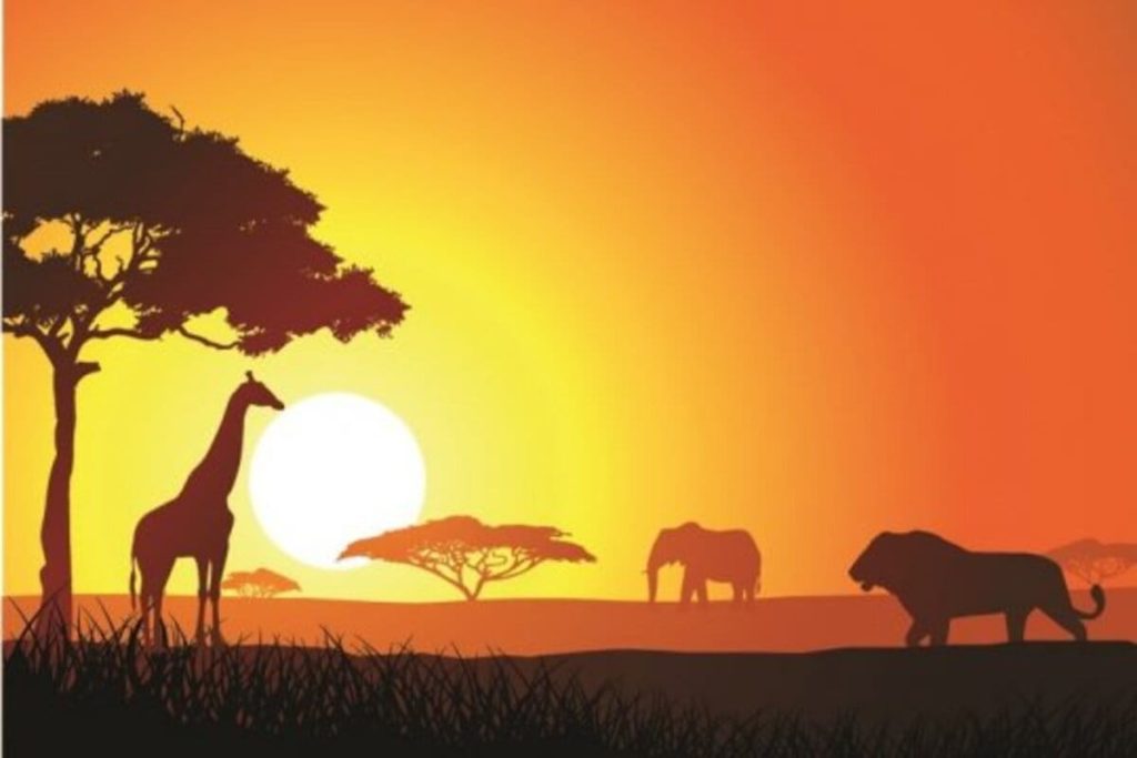 25 интересных фактов об Африке - континенте, где зародилось человечество и говорят на 2000 языках - OnlyFacts KZ 1