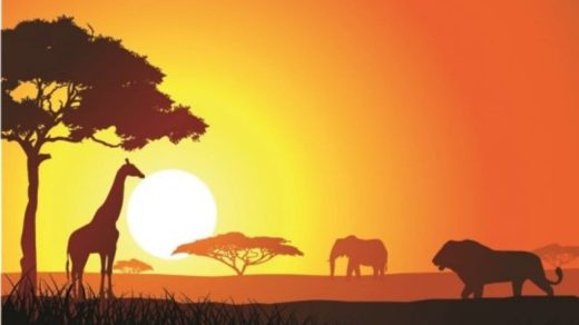 25 интересных фактов об Африке - континенте, где зародилось человечество и говорят на 2000 языках