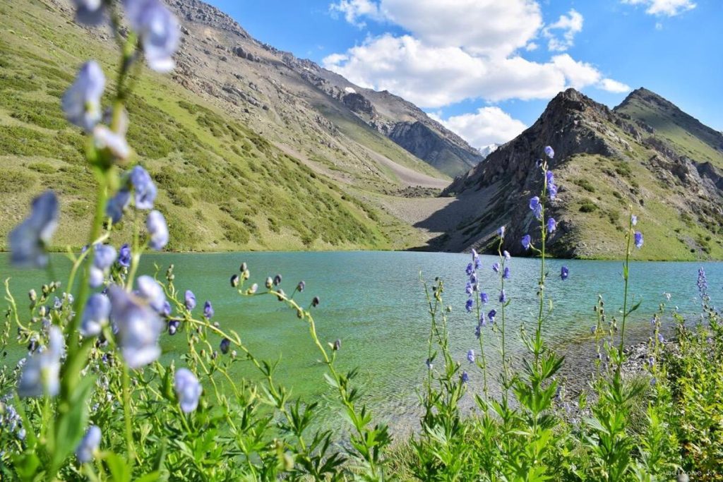 22 интересных факта о заповеднике Аксу-Жабаглы - старейшем резервате Казахстана, доме снежного барса - OnlyFacts KZ 1