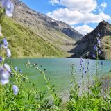 22 интересных факта о заповеднике Аксу-Жабаглы - старейшем резервате Казахстана, доме снежного барса