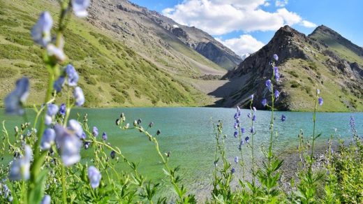 22 интересных факта о заповеднике Аксу-Жабаглы - старейшем резервате Казахстана, доме снежного барса