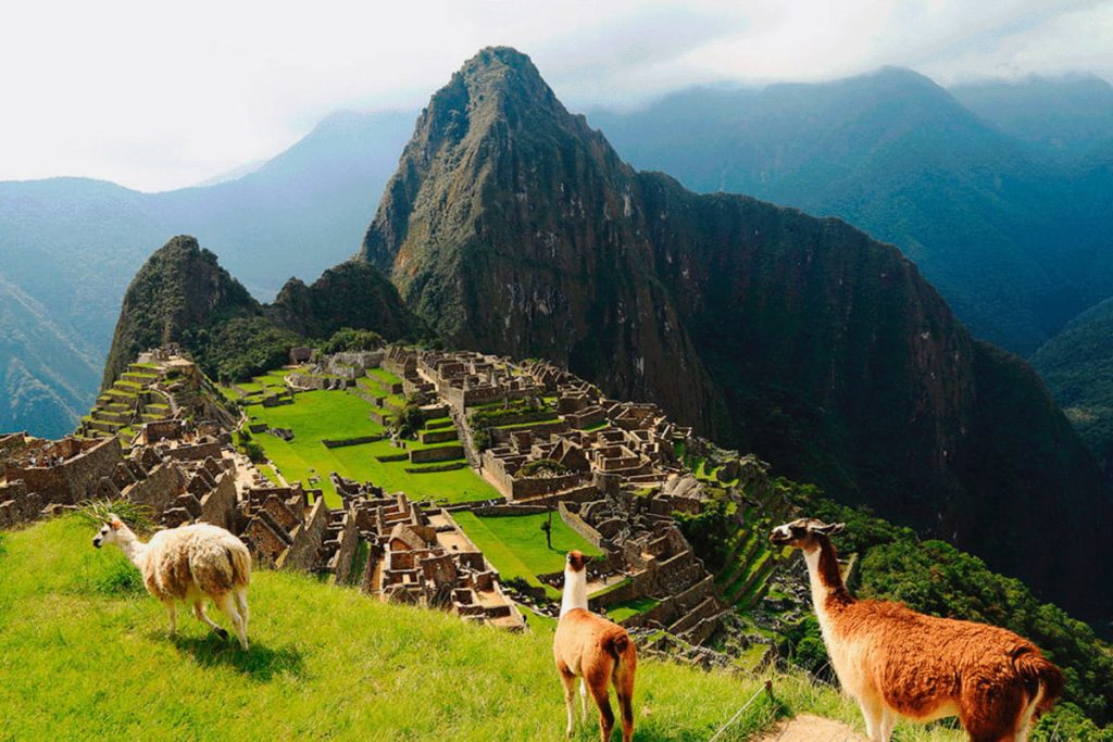 20 интересных фактов о Перу – родине картофеля, где до сих пор находят затерянные города инков - OnlyFacts KZ 1