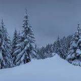 20 интересных фактов о снеге – осадках, которые на самом деле не белые, а прозрачные, и скрипят из-за ломающихся кристаллов