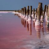 10 интересных фактов об озере Кобейтуз - соленом водоеме, который окрашивается в розовый цвет раз в несколько лет