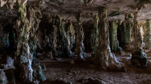 Үңгірлер туралы 35 қызықты дерек – соқыр балықтар мекендейтін және кристалдар өсетін жерасты әлемі
